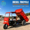 111 (3) Diesel Cargo Tricycle